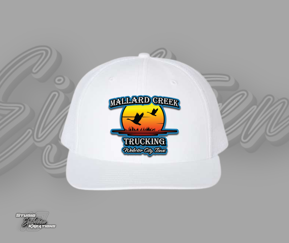 Large Logo Hat
